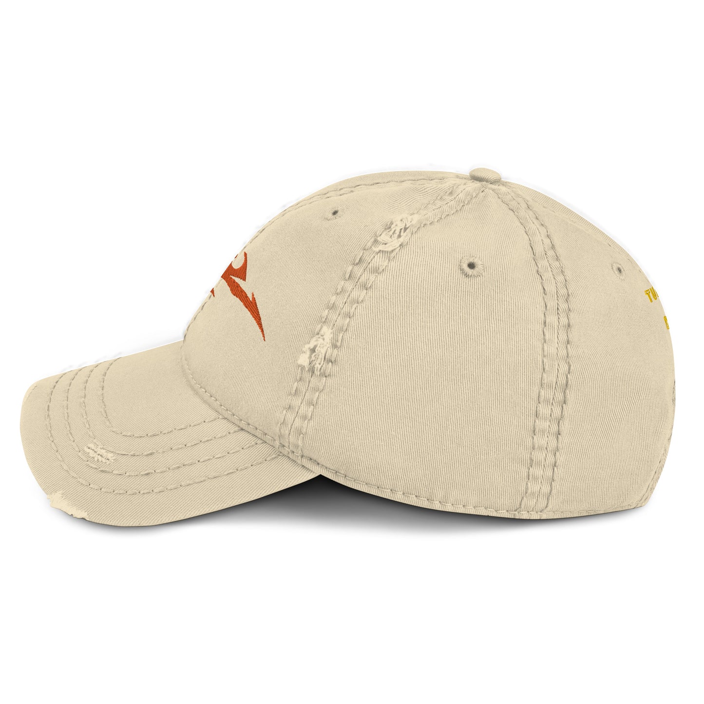 Boné Dad Hat Desgastado