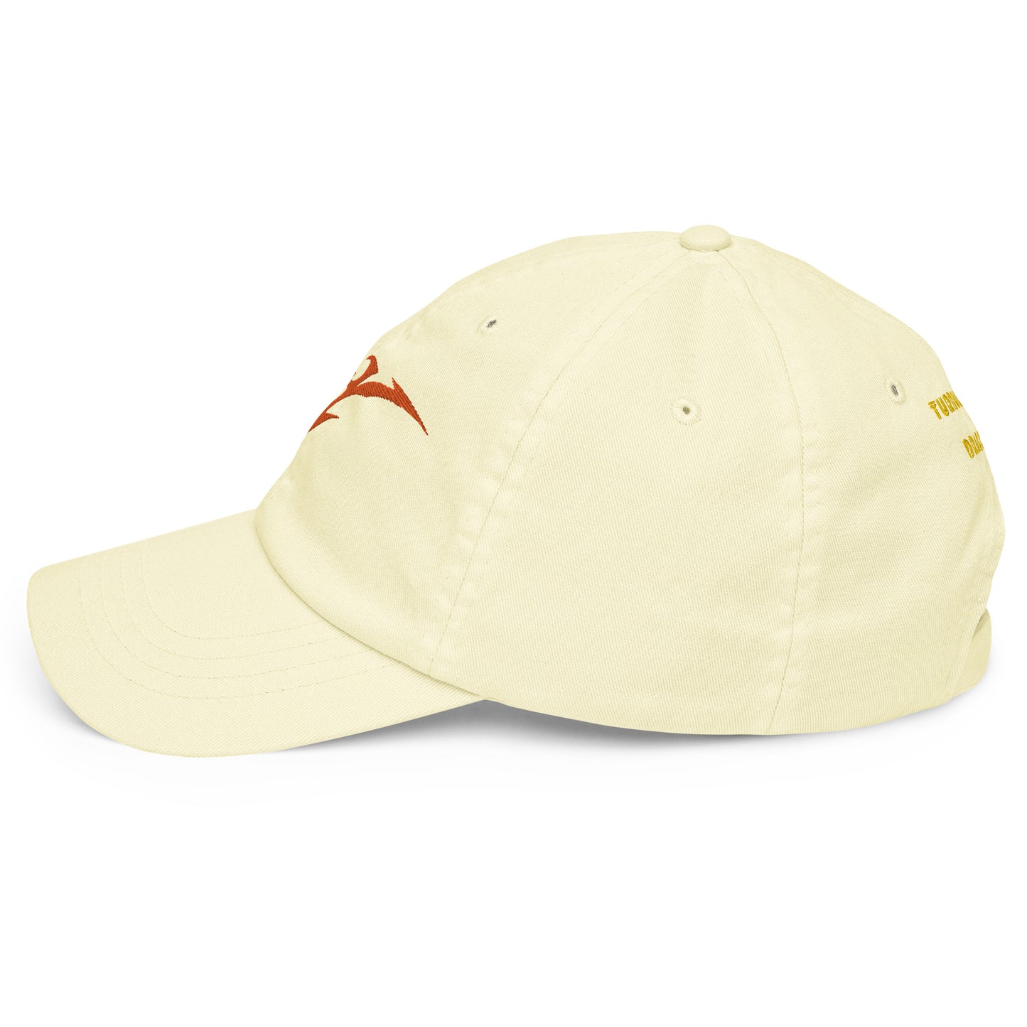 Boné de baseball pastel