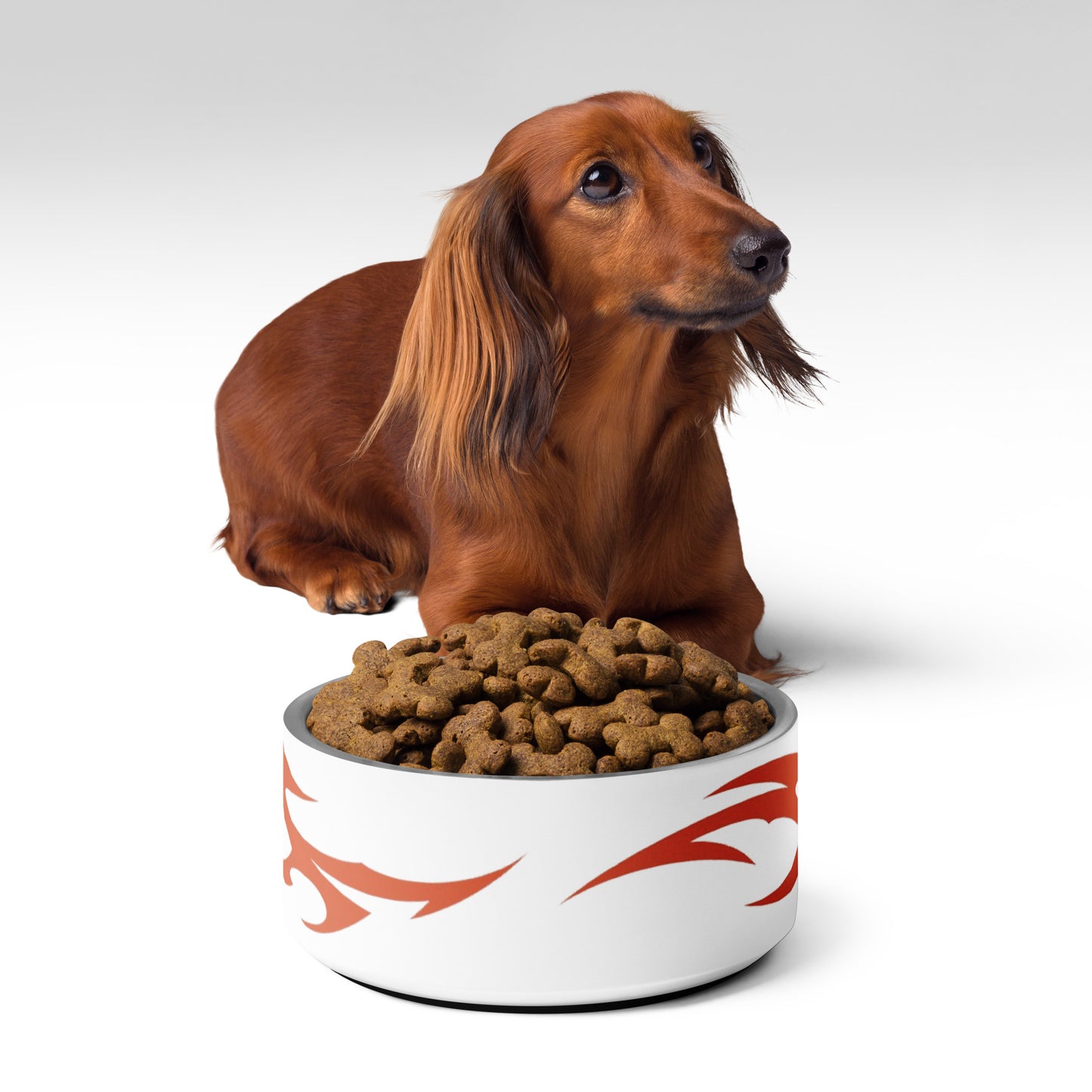 Tigela de comida para Pets Turbulent Dragon