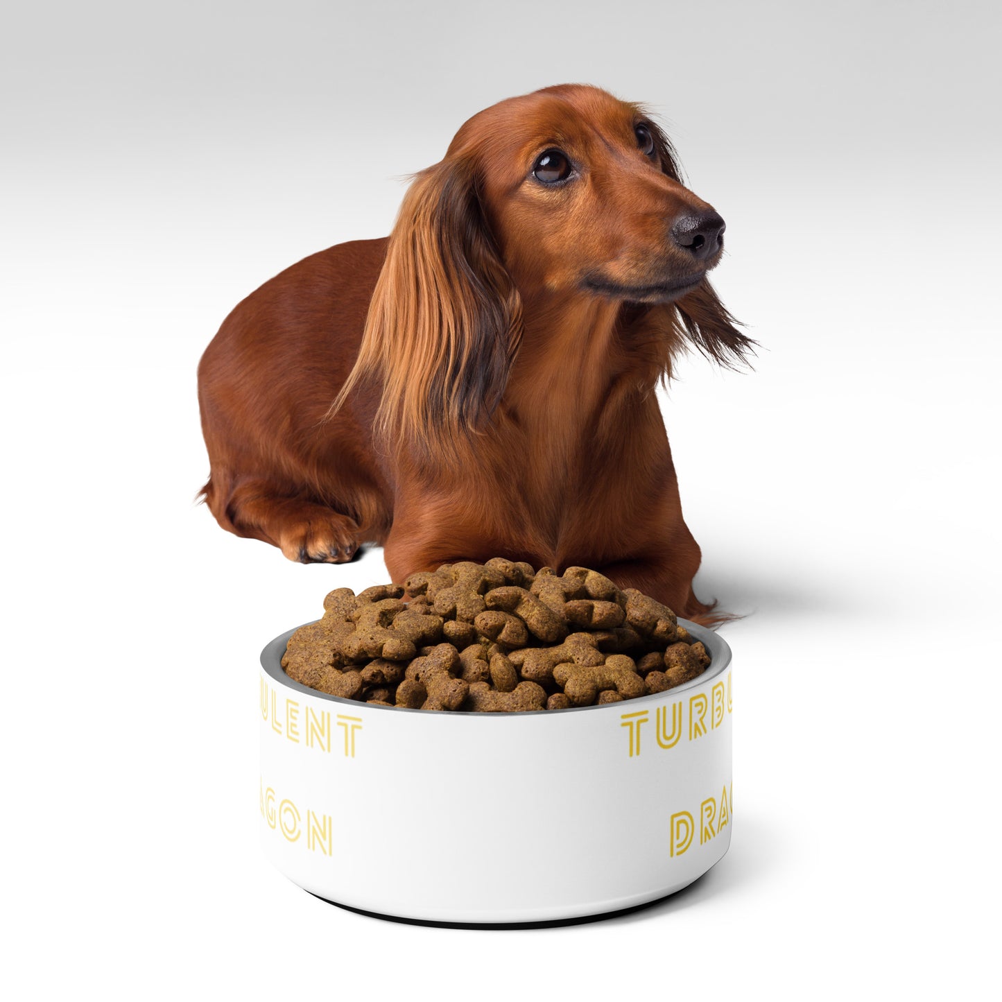 Tigela de comida para Pets Turbulent Dragon