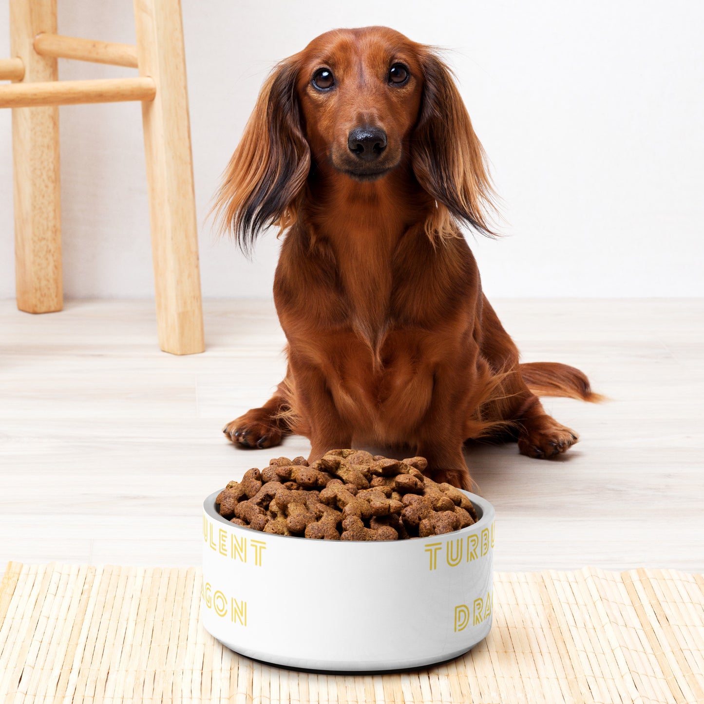 Tigela de comida para Pets Turbulent Dragon
